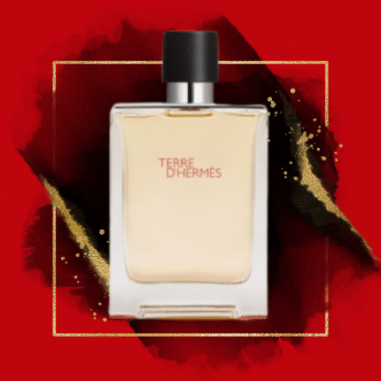 Hermes Terre d'Hermes Eau de toilette, 100ml